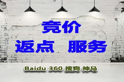 案例教学：轻松掌握竞价推广方法